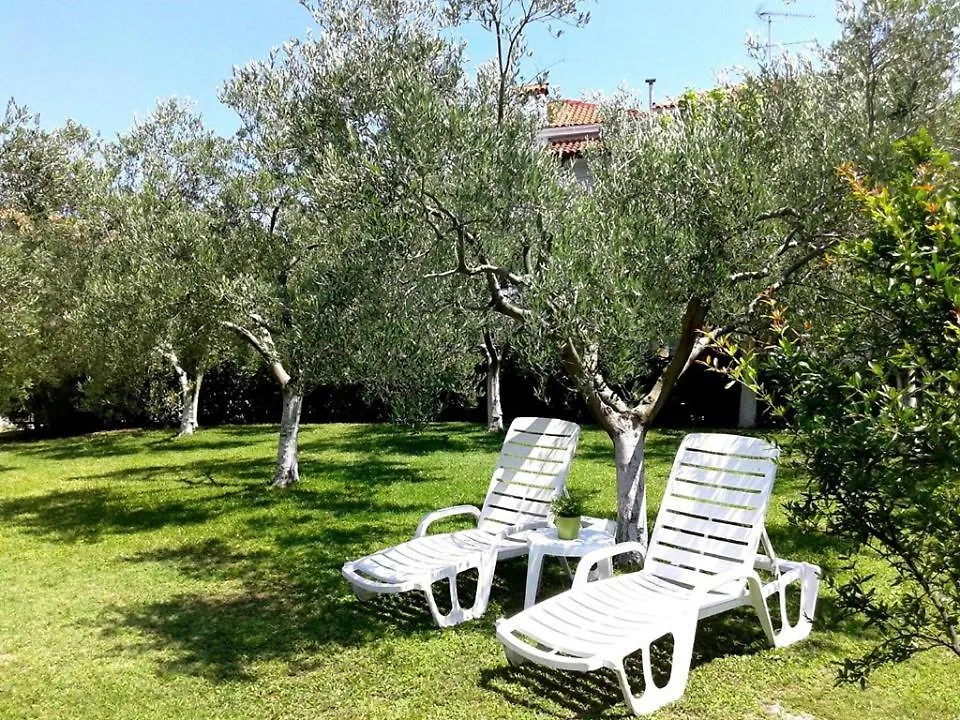 San Giorgio Aparthotel Skala Fourkas